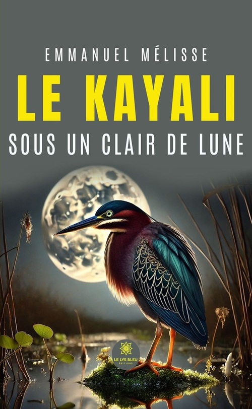 Couverture ebook de Le kayali sous un clair de lune, de Emmanuel Mélisse