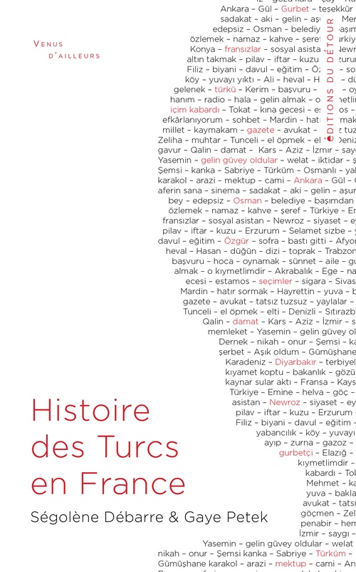 ebook cover of Histoire des Turcs en France, by Gaye Petek