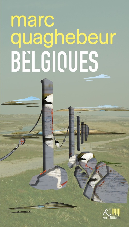 ebook cover of Belgiques, by Marc Quaghebeur