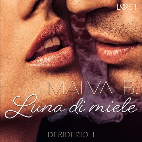 audiobook cover of Desiderio 1: Luna di miele - racconto erotico, by Malva B.