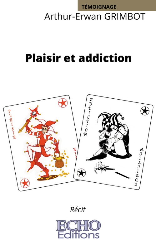 ebook cover of Plaisir et addiction, by Arthur-Erwan Grimbot