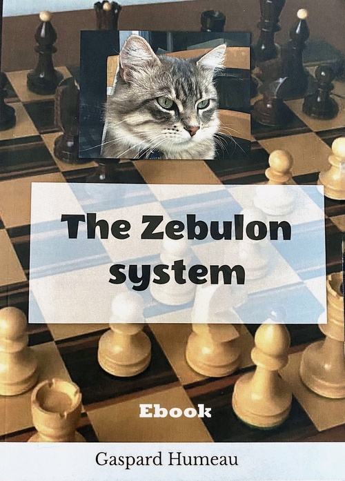 Couverture ebook de The Zebulon system, de Gaspard Humeau