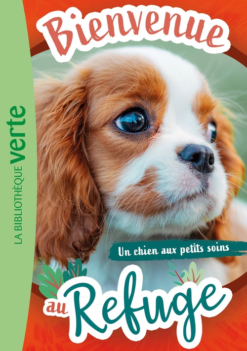 ebook cover of Bienvenue au refuge 13 - Un chien aux petits soins, by Hachette Livre, Pascal Ruter