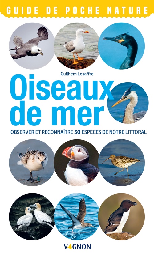 ebook cover of Oiseaux de mer, by Guilhem Lesaffre
