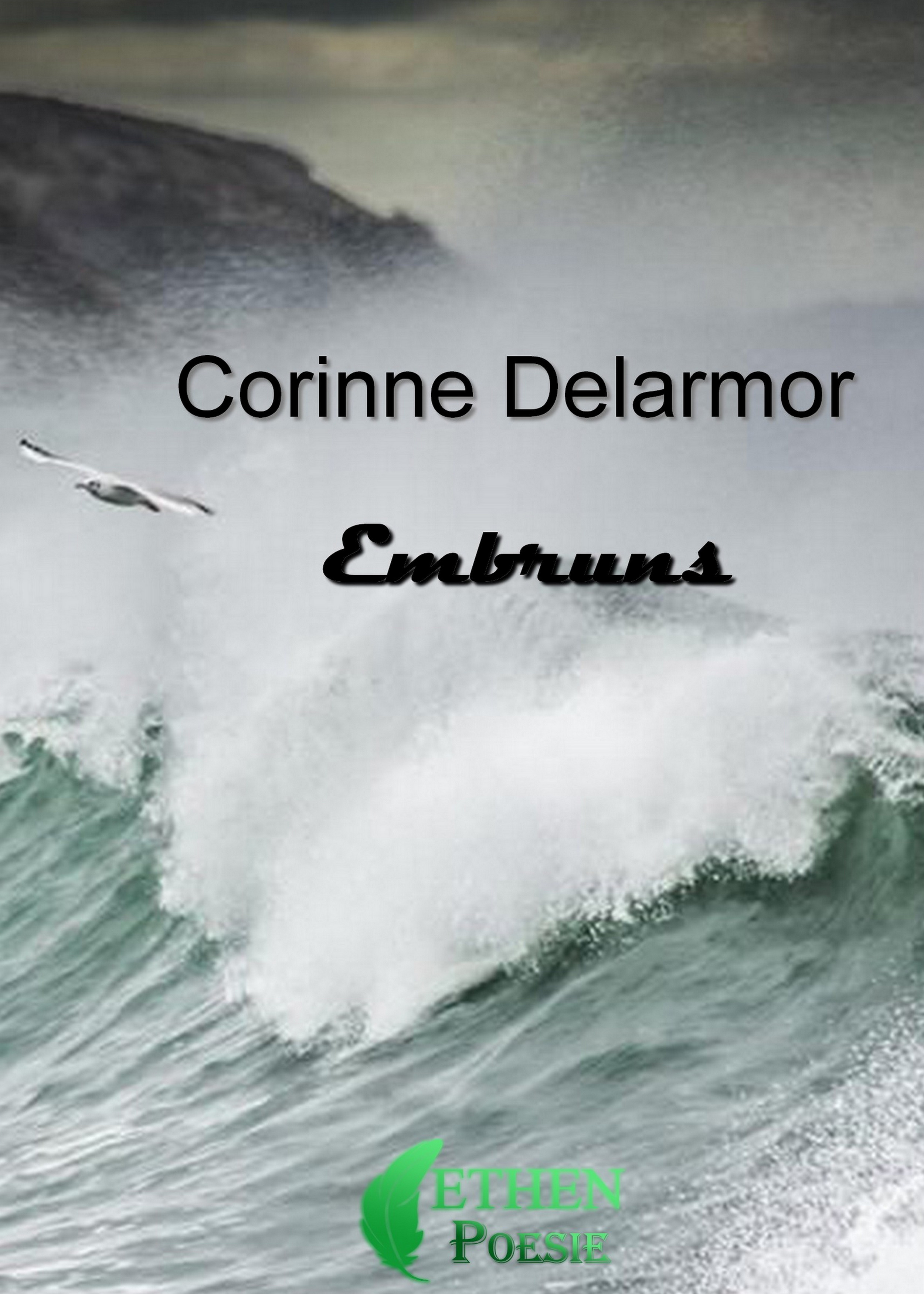 ebook cover of Embruns, by Corinne Delarmor