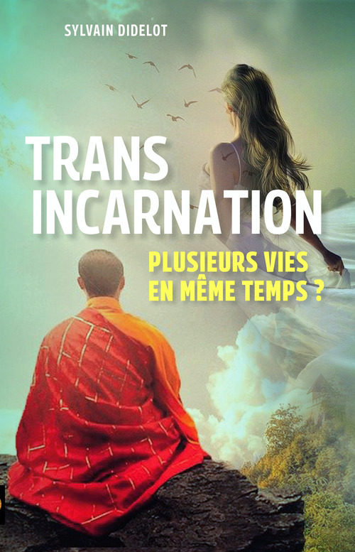 ebook cover of Transincarnation, by Sylvain Didelot