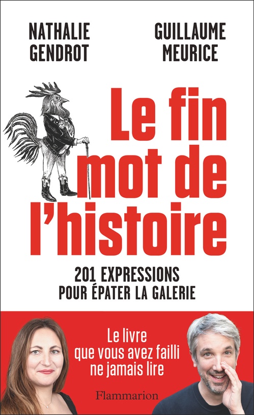 ebook cover of Le fin mot de l'histoire. 201 expressions pour épater la galerie, by Nathalie Gendrot, Guillaume Meurice