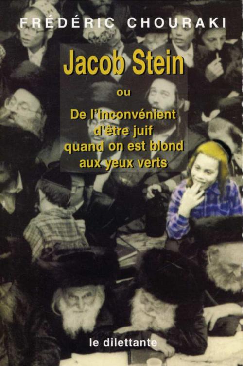 ebook cover of Jacob Stein, by Frédéric Chouraki