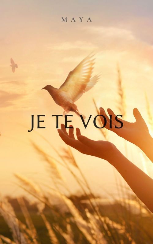 Couverture ebook de Je te vois, de Maya
