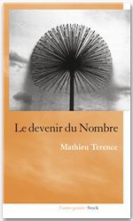 ebook cover of Le devenir du nombre, by Mathieu Terence