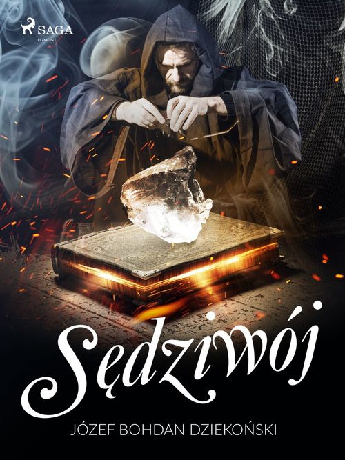Couverture ebook de Sedziwój, de Jozef Bohdan Dzieko'Nski
