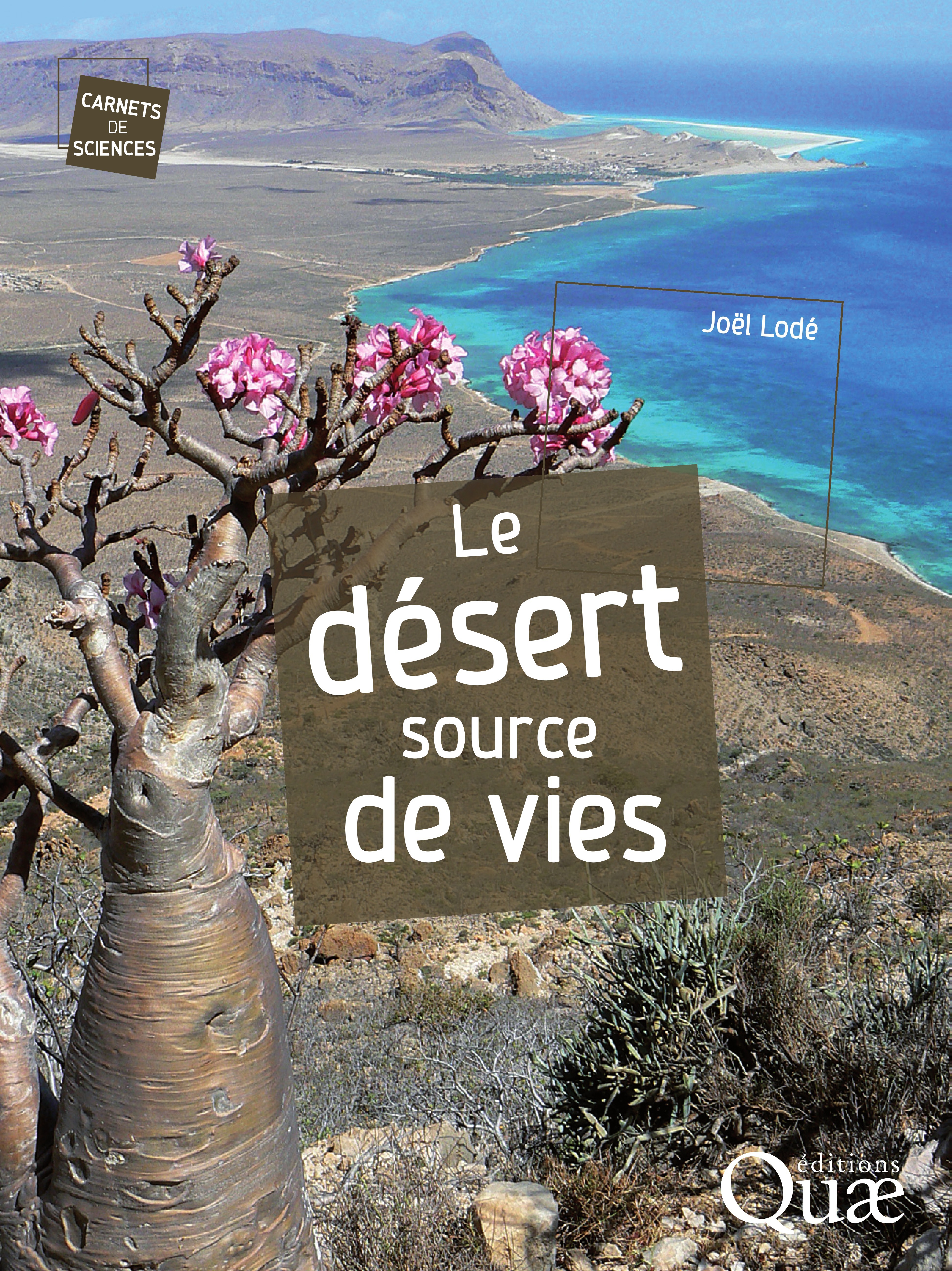 Couverture ebook de Le désert, source de vies, de Joël Lodé