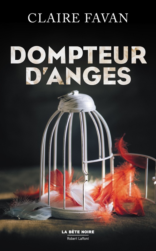 Couverture ebook de Dompteur d'anges, de Claire Favan