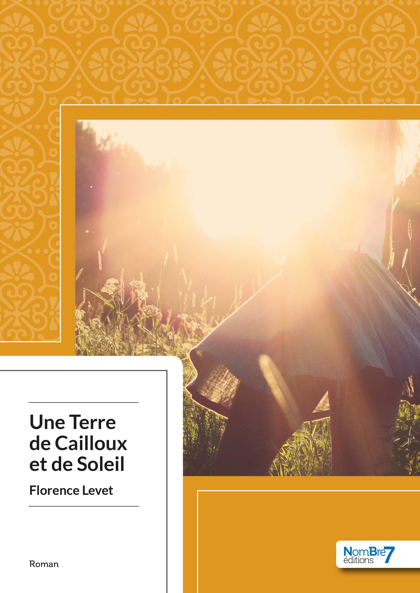 ebook cover of Une Terre de Cailloux et de Soleil, by Florence Levet