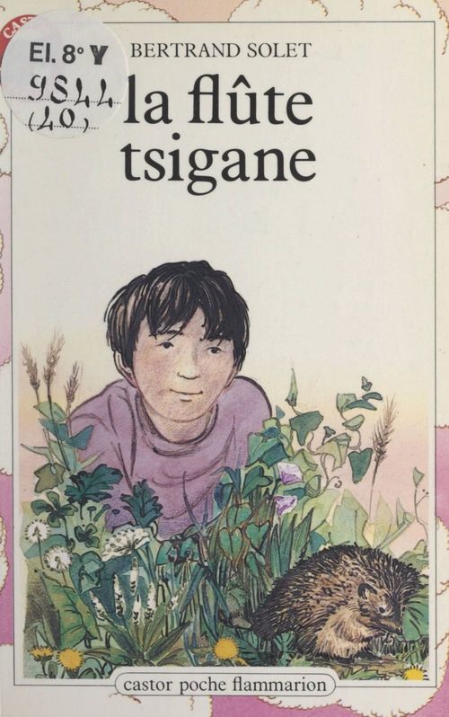 ebook cover of La flûte tsigane, by Bertrand Solet