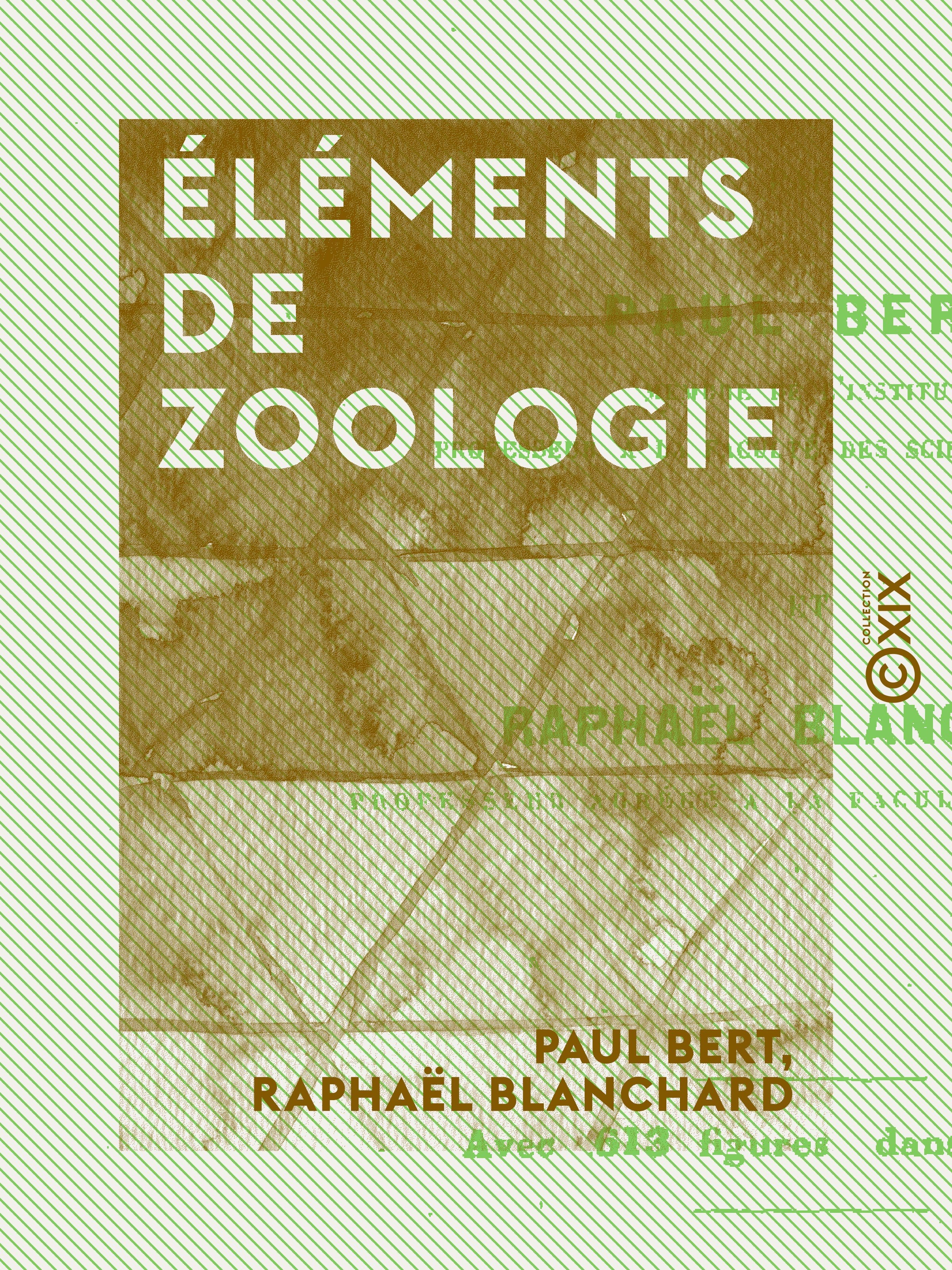 Couverture ebook de Éléments de zoologie, de Paul Bert, Raphael Blanchard
