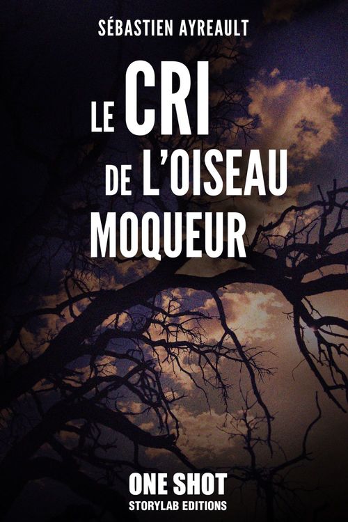 Couverture ebook de Le cri de l'oiseau moqueur, de Sébastien Ayreault