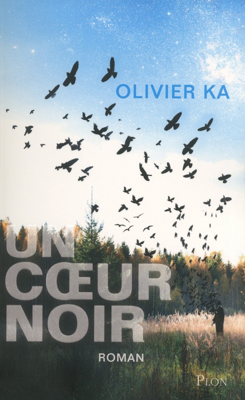 Couverture ebook de Un coeur noir, de Olivier Ka