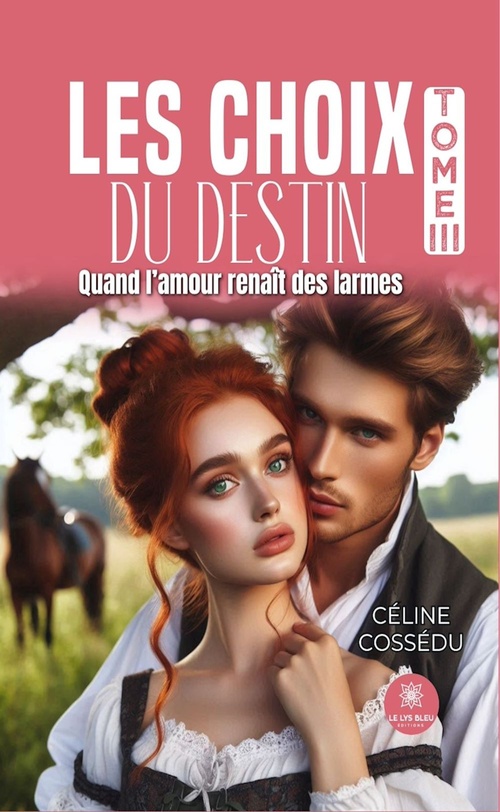 Couverture ebook de Les choix du destin - Tome 3, de Céline Cossédu
