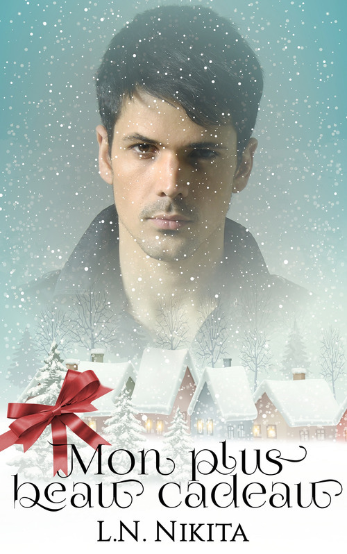 ebook cover of Mon plus beau cadeau, by L.N. Nikita