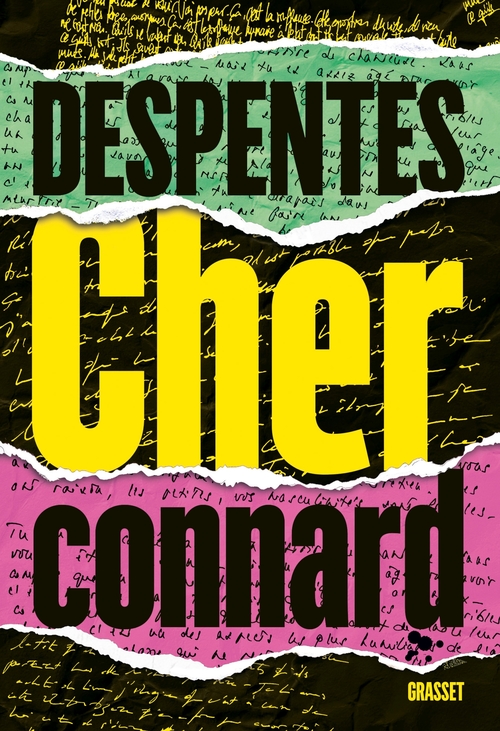 ebook cover of Cher connard, by Virginie Despentes