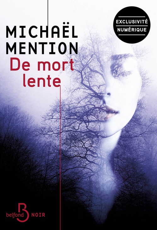 ebook cover of De mort lente, by Michaël Mention