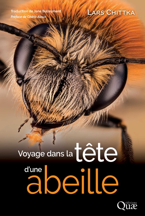 ebook cover of Voyage dans la tête d'une abeille, by Lars Chittka