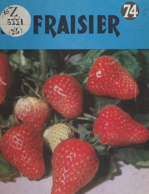 Couverture ebook de Le fraisier et sa culture, de P. Trioreau