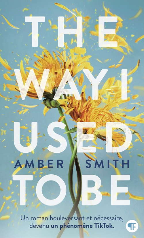 Couverture ebook de The Way I Used to be, de Amber Smith