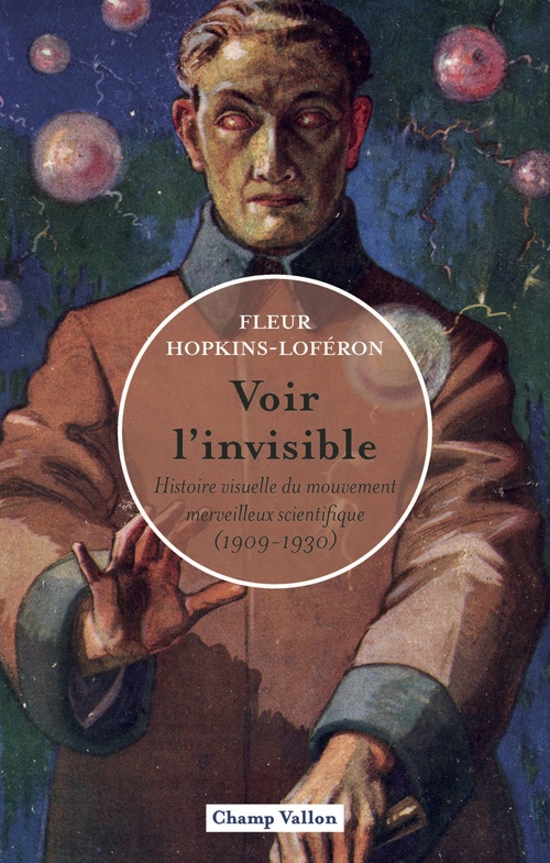 ebook cover of Voir l'invisible, by Fleur Hopkins-Loferon