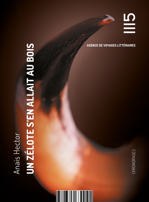 ebook cover of Un zélote s´en allait au bois, by Anaïs Hector