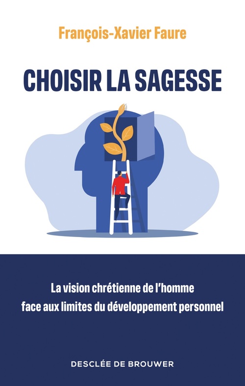 ebook cover of Choisir la sagesse, by François-Xavier Faure