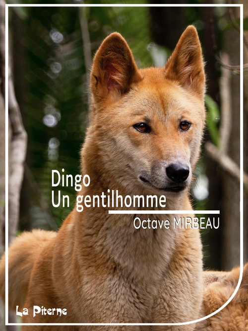 ebook cover of Dingo, by Octave Mirbeau