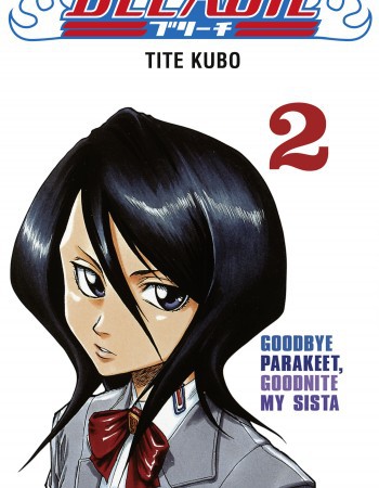ebook cover of Bleach - Tome 02, by Tite Kubo