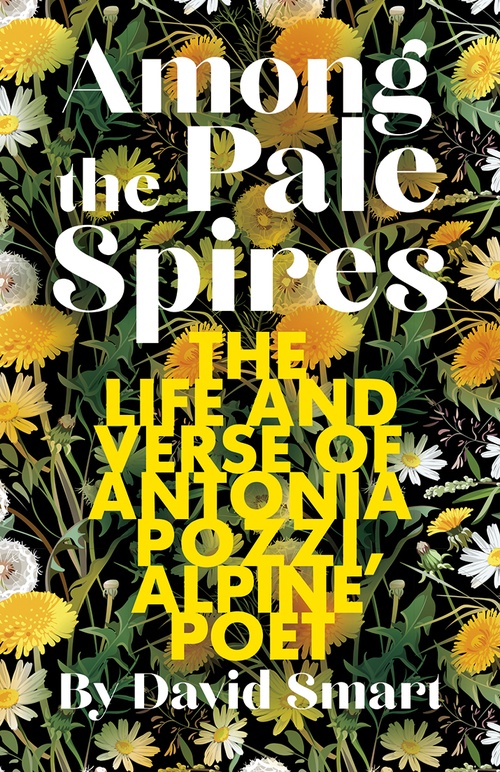 Couverture ebook de Among the Pale Spires, de David Smart