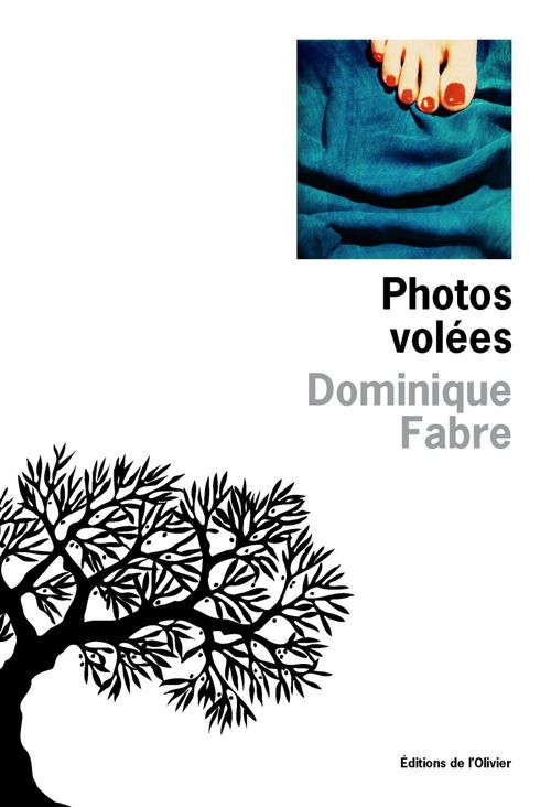 ebook cover of Photos volées, by Dominique Fabre