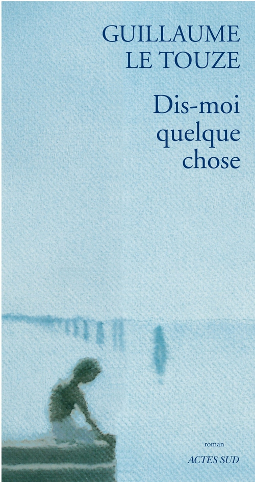 ebook cover of Dis moi quelque chose, by Guillaume Le touzé