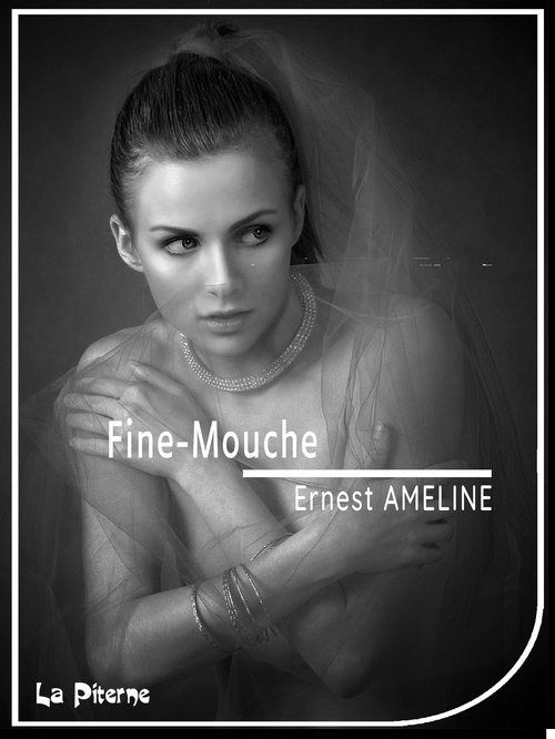 ebook cover of Fine-Mouche, by Ernest Ameline