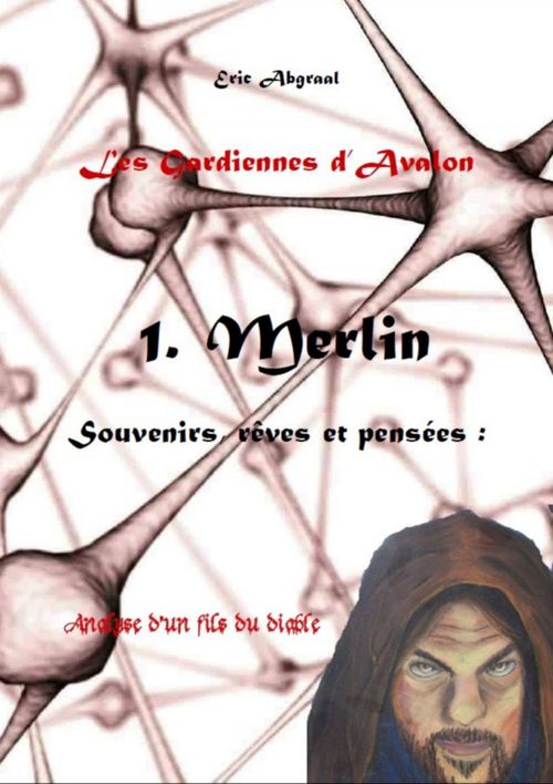 ebook cover of LES GARDIENNES D'AVALON 1, by Eric Abgraal