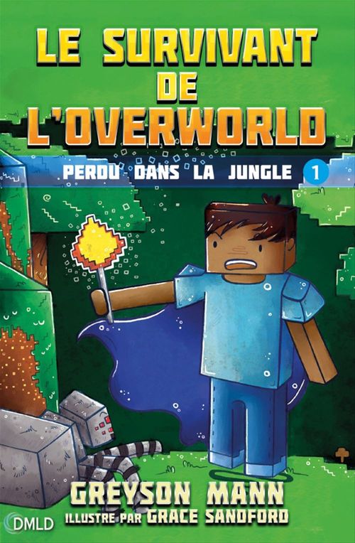 ebook cover of Le survivant de l'Overworld T1, by Mann Greyson, Grace Sandford