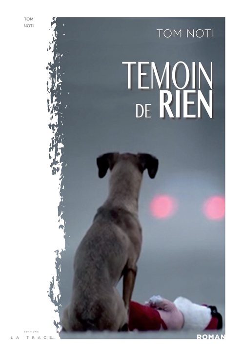 Couverture ebook de TEMOIN DE RIEN, de Tom Noti