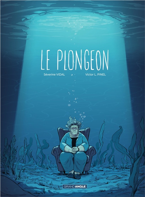 ebook cover of Le plongeon, by Victor Lorenzo Pinel, Séverine Vidal