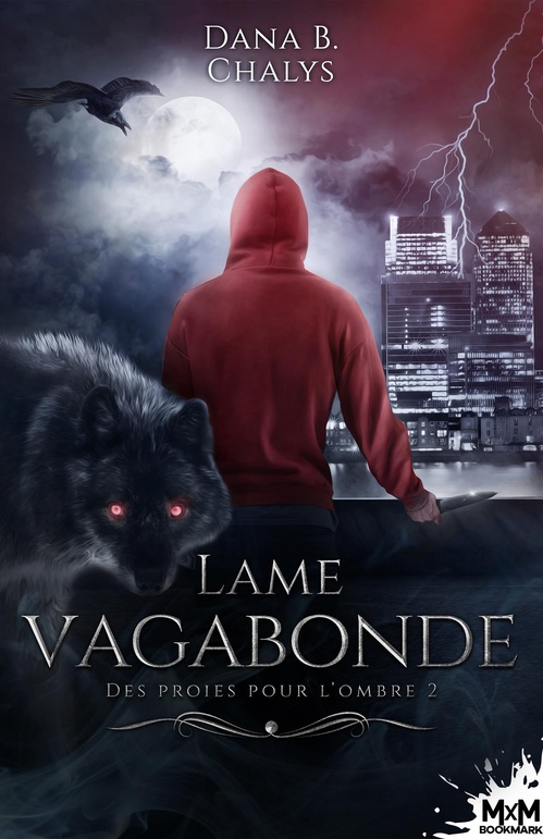 ebook cover of Lame vagabonde, by Dana B. Chalys