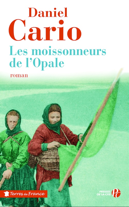 ebook cover of LES MOISSONNEURS DE L'OPALE, by Daniel Carion