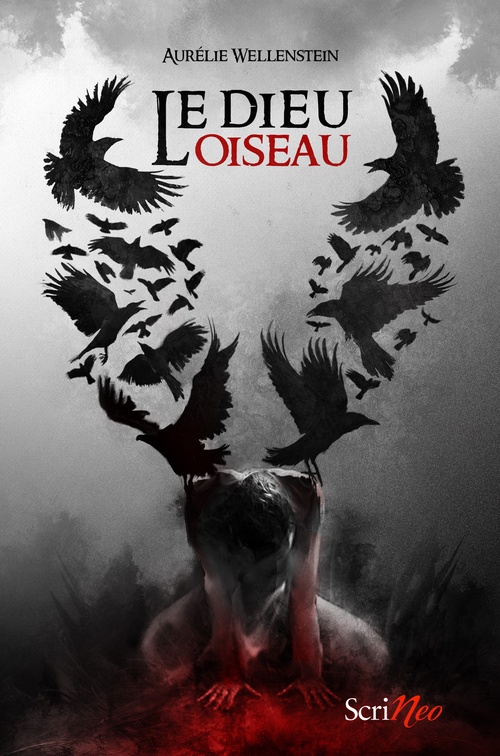ebook cover of Le dieu oiseau, by Aurélie Wellenstein