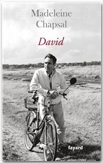 ebook cover of David, by Madeleine Chapsal