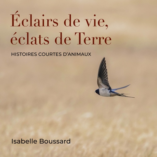 audiobook cover of Éclairs de vie, éclats de Terre, by Isabelle Boussard