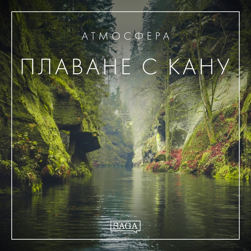 audiobook cover of -, by Rasmus Broe