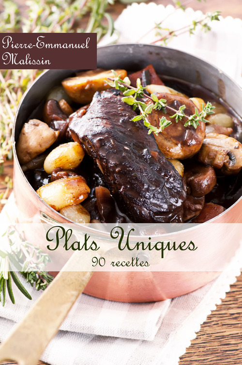ebook cover of Plats uniques ; 90 recettes, by Pierre-emmanuel Malissin