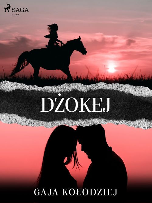 ebook cover of Dzokej, by Gaja Kolodziej